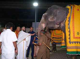 Tirupati is more than a sacred destination. It is a place wh