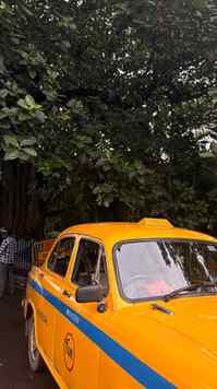 Through my lens,kolkata speaks.

#cityofjoy #westbengal #kol