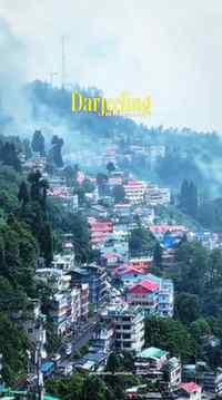 Darjeeling📍🌲🏔️