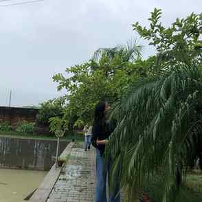 Rainy days makes it greener 🤭
#insta #instagram #instagood