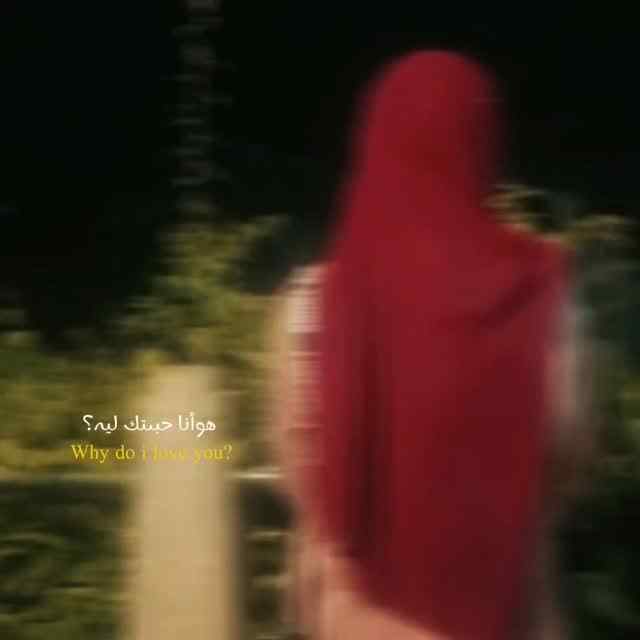 Some things don't need caption...
.
.
.faceless aesthetic • 