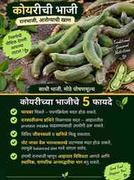 ✨ आपल्या मातीतली भाजी… आपल्या आरोग्यासाठी मौल्यवान!
तुमच्या 