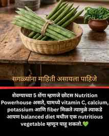 🌿 शेवगा — छोटासा vegetable, पण nutrition भरपूर! 💚

आपल्या 