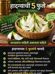 🌿 आपल्या पारंपरिक भाज्यांमध्येही दडलंय भरपूर Nutrition! 🤍
