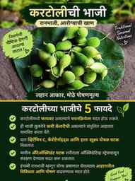 🌿 करटोलीची भाजी – चवीसोबत आरोग्याचीही साथ! 💚

आपल्या पारंप