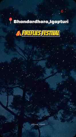 Long drives, great company, and thousands of glowing firefli