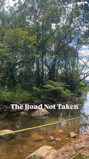 Ever chosen the road not taken by most people?
There lies th
