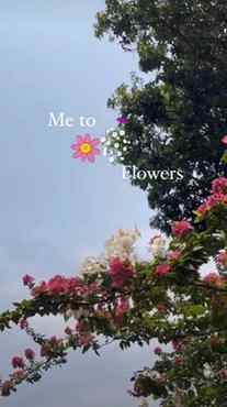 Flower's...🌺🌹🌷
#flowerslovers #foryou #delhi