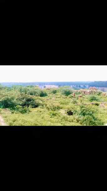 Le jaaye mujhe jaha ye hawaye #nature #tuglaqabadfort