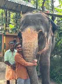 Big Brother🐘🎋
