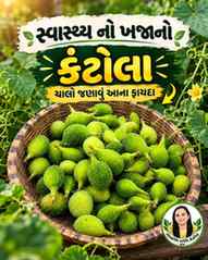 કંટોલાને માત્ર શાક ન માનતા… તેમાં ઘણું ખાસ છે! 🌿

કંટોલા (S