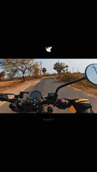 Peace🕊️
#guerrilla450 #reelsinstagram #motovlog #biker #r