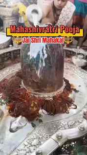 महारात्रि शिवरात्रि 🔱🌷💐
महाशिवरात्रि पूजन 🕉️🙏🙏
.
.
.
.