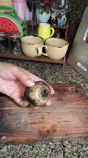 Ab to dar lagta hai bahut 🫠
.
.
.
#Shorts #salad #India