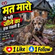 Mat maro hame 😭🙏 #viral #trending #dogs #help #everyone