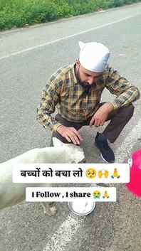 Please support for dogs 🥺🙏#viral #trending #dogslovers #he