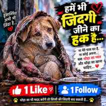 Me bhi jeena chahta hu 😭🙏 #viral #trending #dogs #help #ev