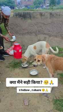 Kya mene sahi kiya 🥺🙏#viral #trending #dogslovers #help #e