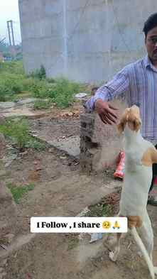 Please support 🥺🙏#viral #trending #dogslovers #help #every
