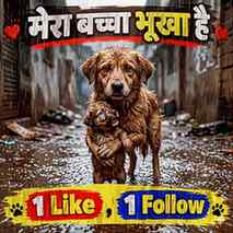 Mera bacha bhuka hai 😭🙏 #viral #trending #dogs #help #ever