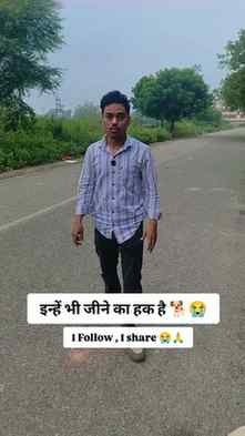 इन्हें भी जीने का हक है 🐕🙏#viral #trending #dogslovers #he