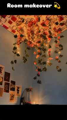 Transform your space instantly with these Artificial Money P
