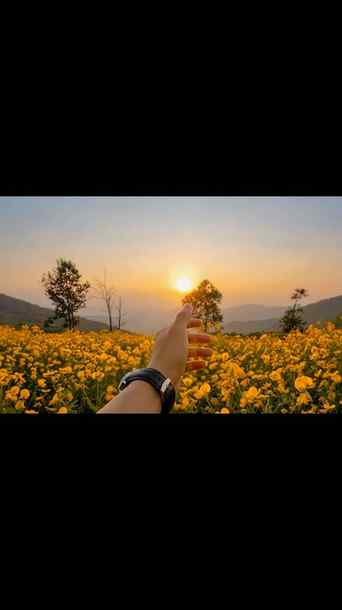 FlowerBlooming #NatureLovers #CinematicNature #BlueSkyLovers