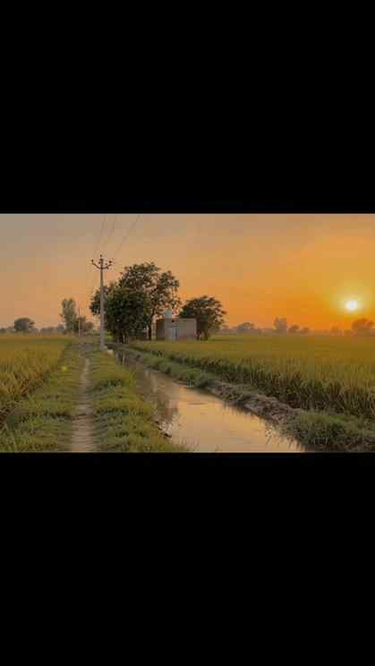 Village Life, Natural View, Rural Assam, Village Vibes, Coun