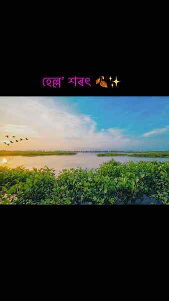 AutumnSeason #শৰৎকাল #Assam #AssameseReels #ZubeenGarg #Zube