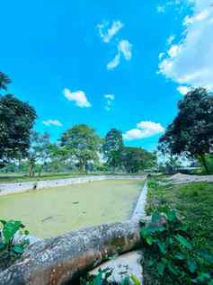 FishFarming #Aquaculture #FreshCatch #VillageLife #Fishery #