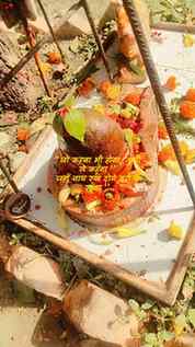 Har Har Mahadev 🔱🙏🏻

#sawansomwar #mahadev❤️🔱 #viral #fy