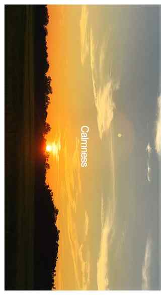 Shot on phone!
#cinematic #viral #calmness #iphone #colourg