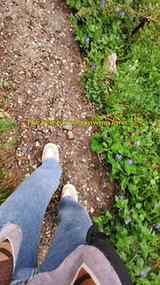 She stopped waiting and started going
.
.
.
.
.
.
#solotrave