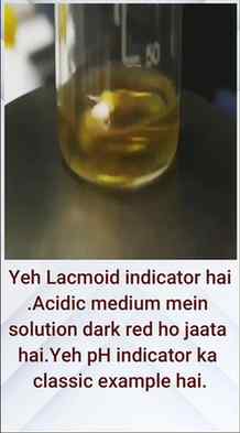 Chemistry World : 🧪 Lacmoid Indicator 😲 | Acidic Medium Me