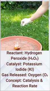 Practical Chemistry : 🧪 Potassium Iodide Magic 😲 | H₂O₂ Fa
