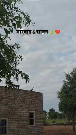 मारवाड़ & सावन best combo 🫀🌾
#tandi #marwadi #savan #jaat 