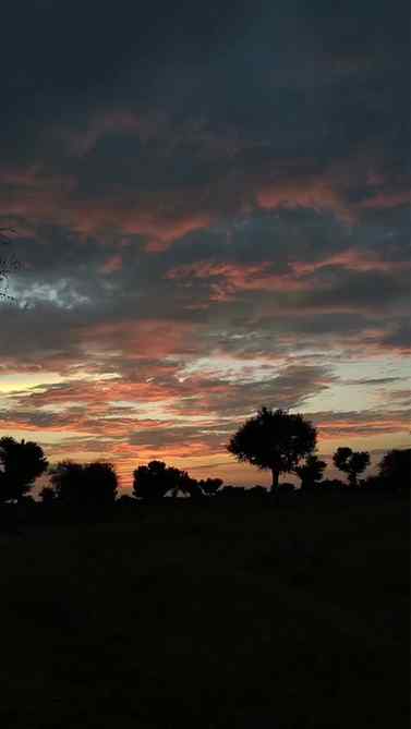 Lyrics are peaked here 🙃❤️
#tandi #jaat #natureshots #sunse