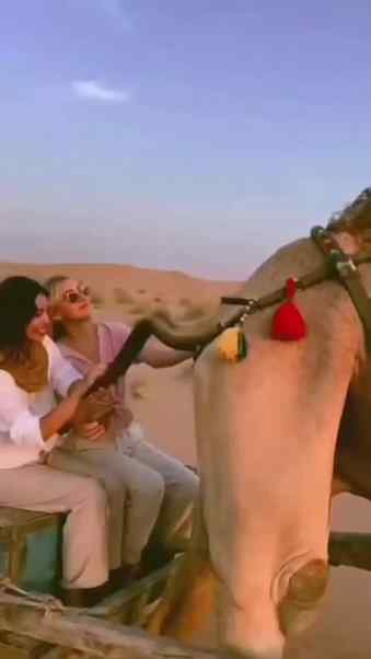 Aur Gour Dekho Maza Aayega 🤣🤣😂 #trending #viralreels