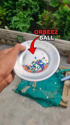 Can Growing Orbeez Balls Crack the Ground? 😲
#shorts #exper