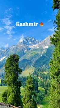 Kashmir 🍁
.
.
.
.
.
.
#kashmir #roadtrip #explore #reelitfe