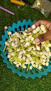 மெஹந்தி மற்றும் ஹல்தி திருவிழாக்களுக்கு ஏற்ற பெர்ஃபெக்ட் பூவ