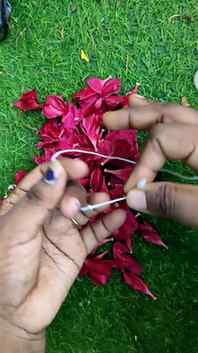 செவ்வரளி ஆரம் 🌷
#garland #diygarland #aralipoo