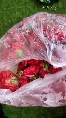 🌹Roja Poo Maalai🌹
#rojagarlandmaking #garlandmaking #roja
