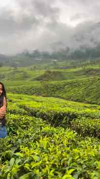 Munnar Teaplantations 🌱
.
.
#viral #trending #explorepage✨ 
