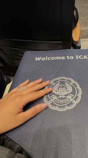 Going with the trend but in ICAI way 😭🤣
(CA Final, CA Fin