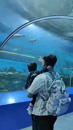 🐠 पुण्यात फक्त ₹20 मध्ये एवढे सुंदर आणि वेगवेगळ्या प्रकारचे