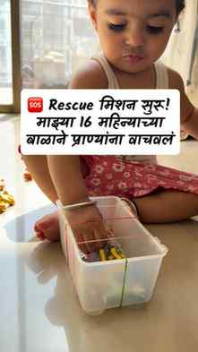 आजचं आमचं Animal Rescue Mission 🐾📦 ❤️
बॉक्समध्ये अडकलेल्य