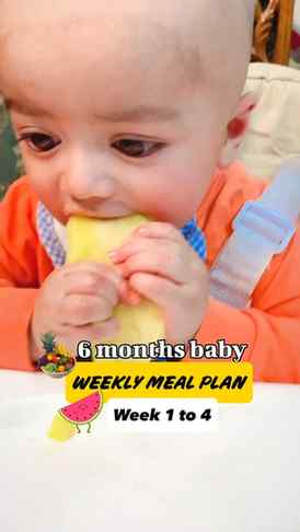 I paid ₹2,000 for this 6 month baby meal plan… so you don’t