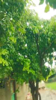 વરસાદ...💦🌧️☔