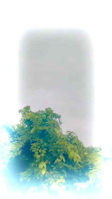 વરસે વાદલળી...🌧️☔